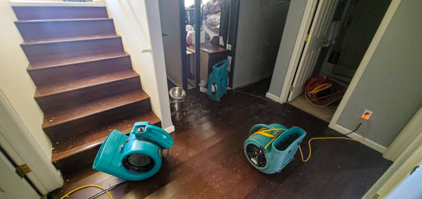 Best Flood restoration services  in South Wenatchee, WA