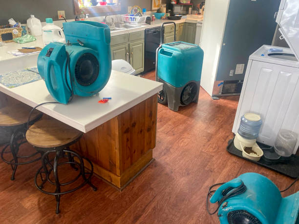 Best Ceiling water damage repair  in South Wenatchee, WA