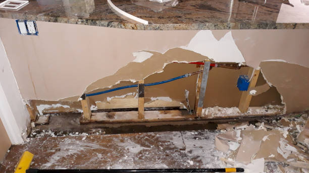 Best Water damage restoration mold remediation  in South Wenatchee, WA