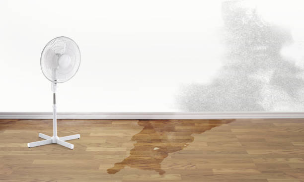 Best Sewage cleanup and water damage restoration  in South Wenatchee, WA