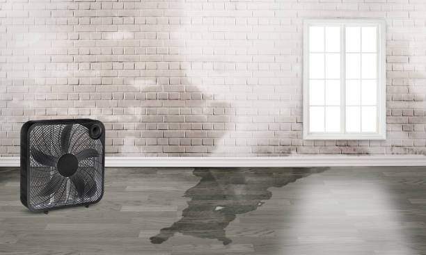 Best 24/7 water damage repair  in South Wenatchee, WA