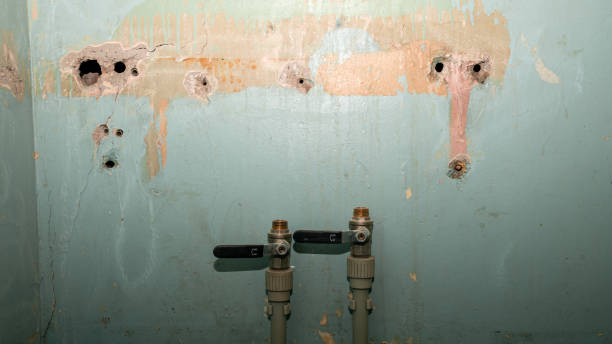 Best Water damage restoration near me  in South Wenatchee, WA