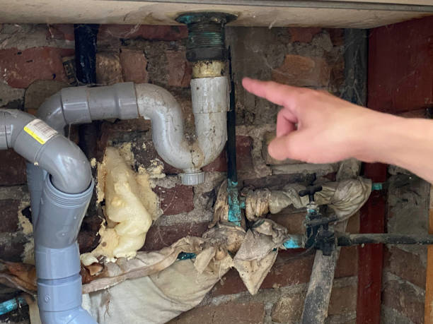 Best Water damage contractors near me  in South Wenatchee, WA