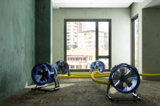 Best Emergency water damage restoration  in South Wenatchee, WA
