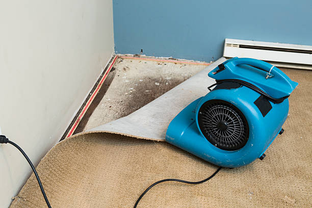 Best Local water damage restoration  in South Wenatchee, WA